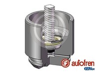 Autofren Seinsa D025691LK Piston, Brake Caliper For Ford