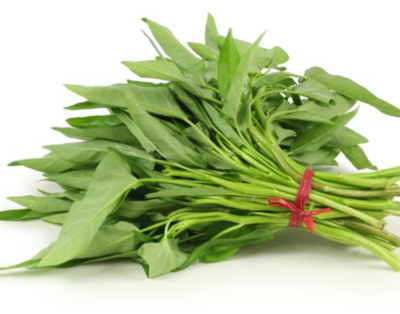 #ad 500 SEEDS LARGE LEAF WATER SPINACH ONG CHOY HẠT RAU MUỐNG LÁ LỚN $4.99