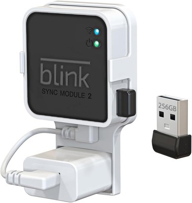 256GB Blink USB Flash Drive, with Outlet Wall Mount for Blink Sync Module 2, Sa