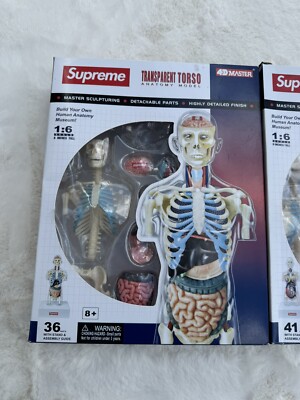 SUPREME Male & Female Anatomy Model Set Red | 2018 | 4D Human RARE