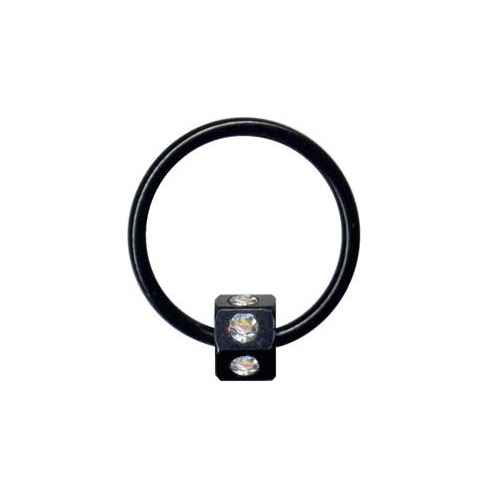 PIERCING SEPTUM TRAGUS HELIX LIPPE NASE AUGENBRAUE OHR INTIM SERIE BLACK LINE - Bild 17 von 19