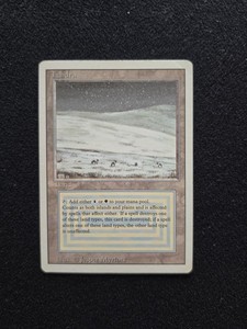 Magic The Gathering Tundra | eBay