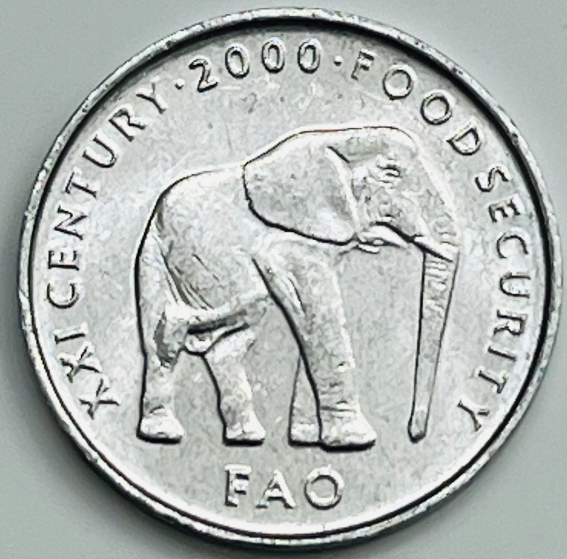 2000 Somalia 5 Shillings KM# 45 Uncirculated Condition