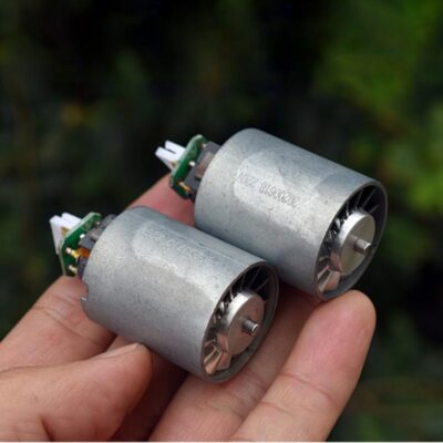DC220V 50W 2-phase DC Brushless Motor Ultra-high Speed Electric Hair Dryer Motor