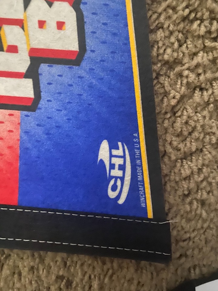 Vintage Austin Ice Bats Hockey Team USA Made Souvenir Felt Pennant 30