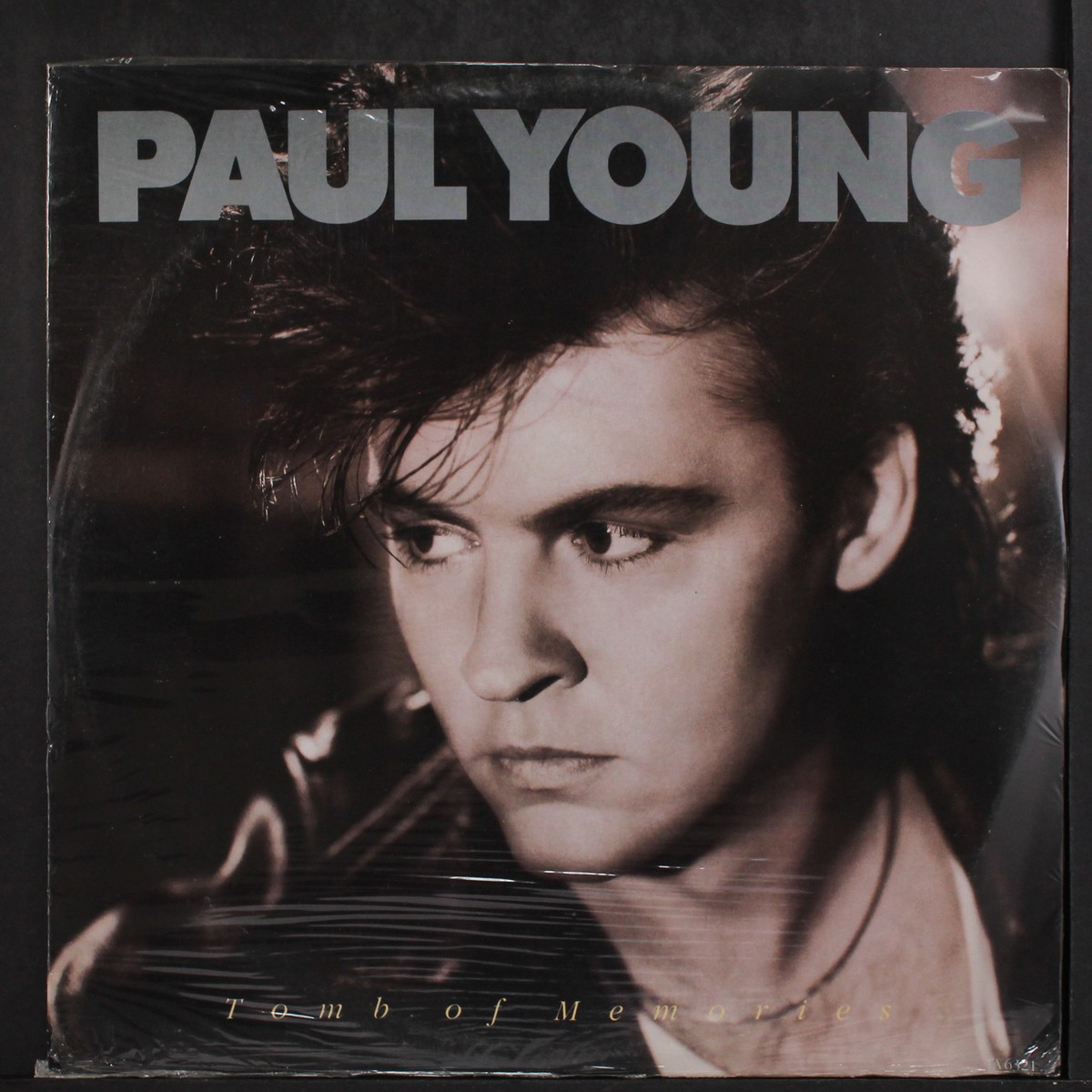 4CD！Paul Young / TOMB OF MEMORIES / 2015 PAUL YOUNG: tomb of memories CBS 12