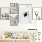 Animal White Horse Canvas Art Print Poster Living Room Wall Picture Modern Decor