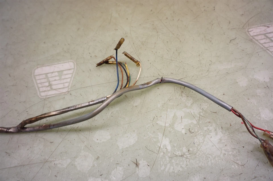 Honda S65 S 65 CS65 1966 Sport 65cc *2653 arnés de cableado  Foto 3 de 4