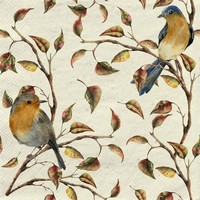 20 Servietten Nachhaltig Gras Birds In Nature Zwei VöGel Tiere Zweige 33X33Cm