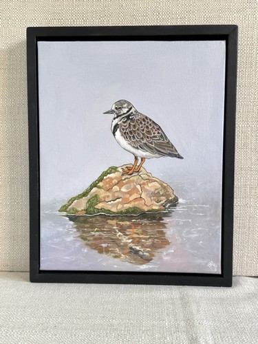 Turnstone Original Ölgemälde auf Leinwand - Wildlife Art - signiert 2025