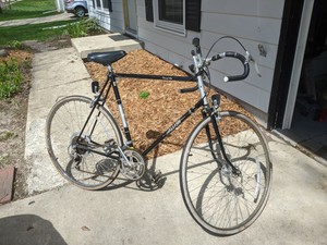 raleigh record vintage