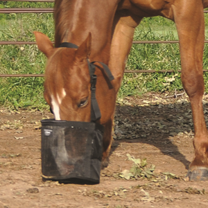 iphone x floating case