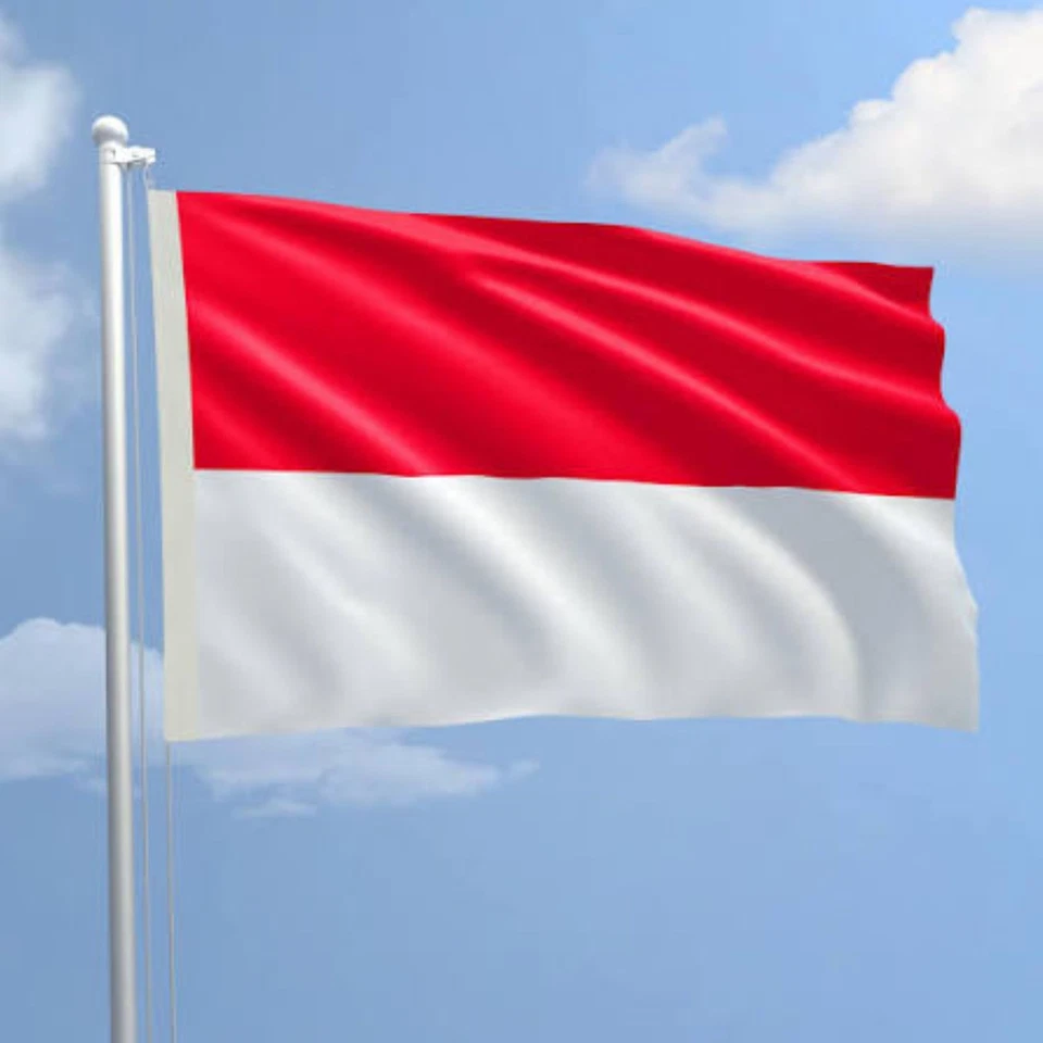Monaco 2 Euro Gedenkmünzen - Auswahl - Bild 1 von 1
