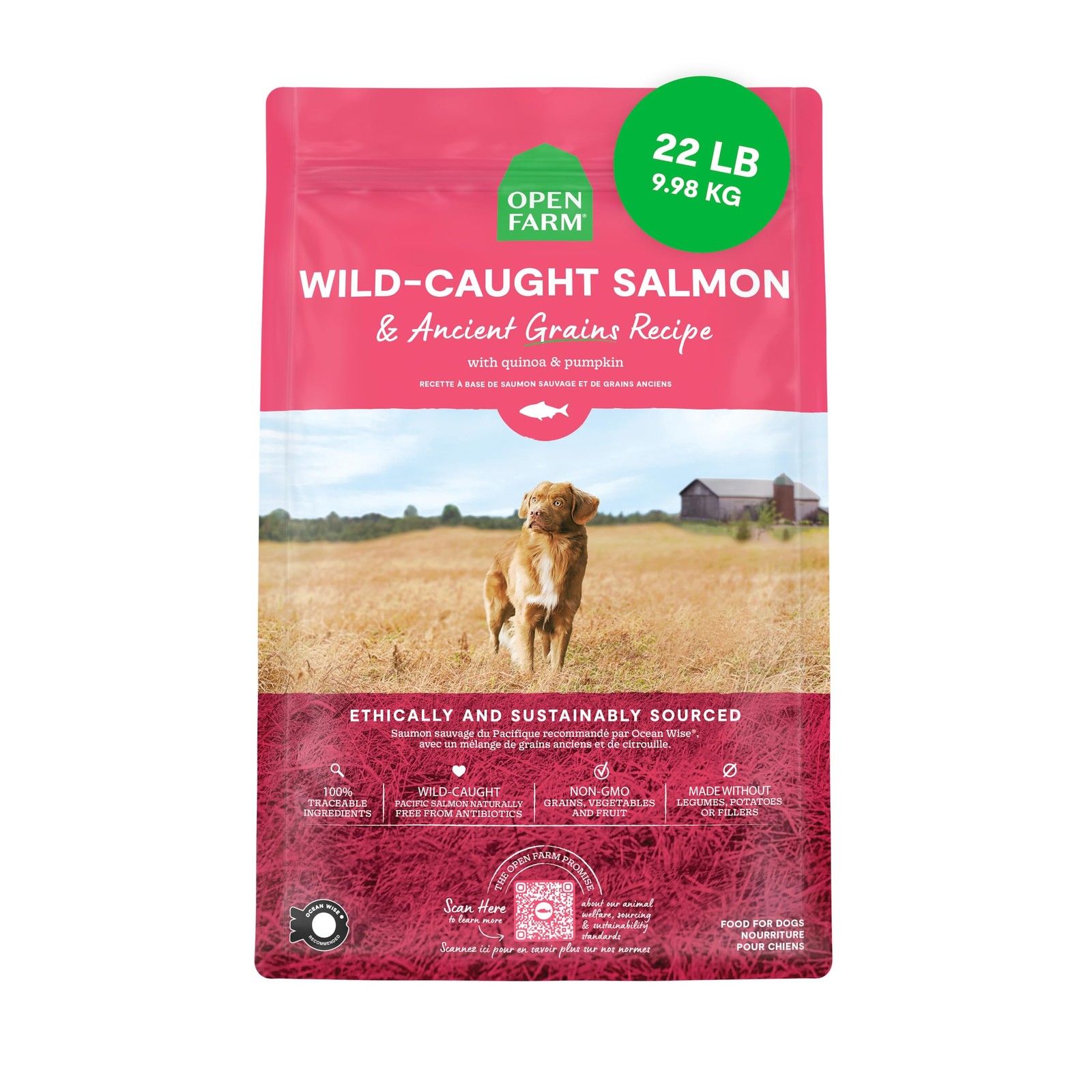 , Protein-rich & Nutrient Dense, 90% Animal Prot...