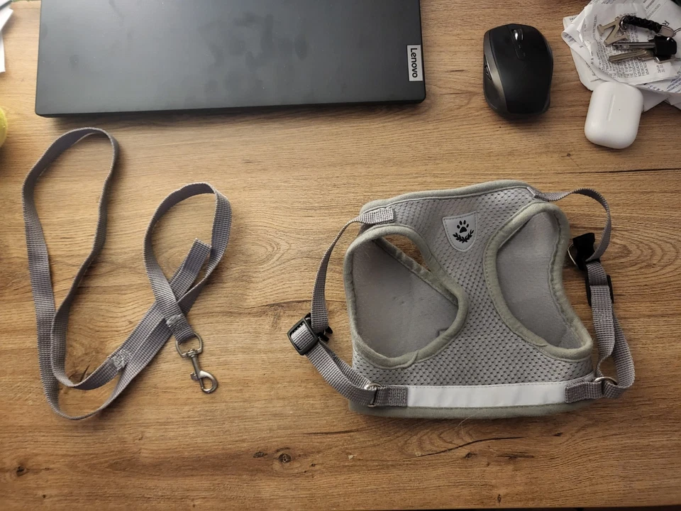 Katzengeschirr XL Pawz