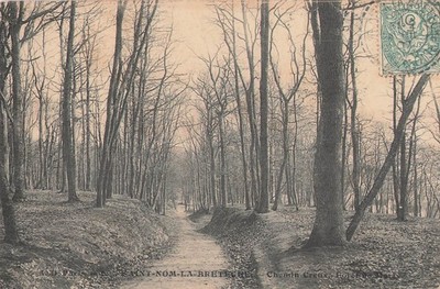 78 Es ist ein Name, die Bretagne, der hohle Weg.  50493