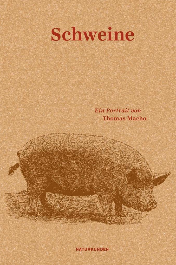 Thumbnail - Schweine | Thomas Macho | 2015 | Deutsch | Schweine