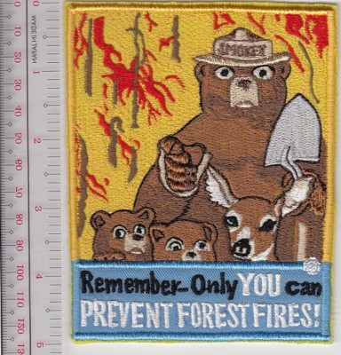 Smokey Bear Hoodie | Only You Can Prevent Wildfires | Offiziell Lizenzierte Kapuze