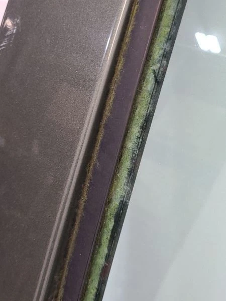 Ford E150 1997-02 furgoneta pasajero puerta delantera pedestal pasajero tipo 6C2Z1520124C Foto 4 de 4