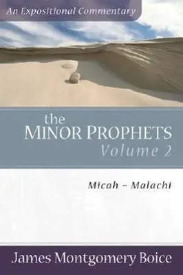 James Montgomery Boice | The Minor Prophets | Taschenbuch | Englisch (2006)