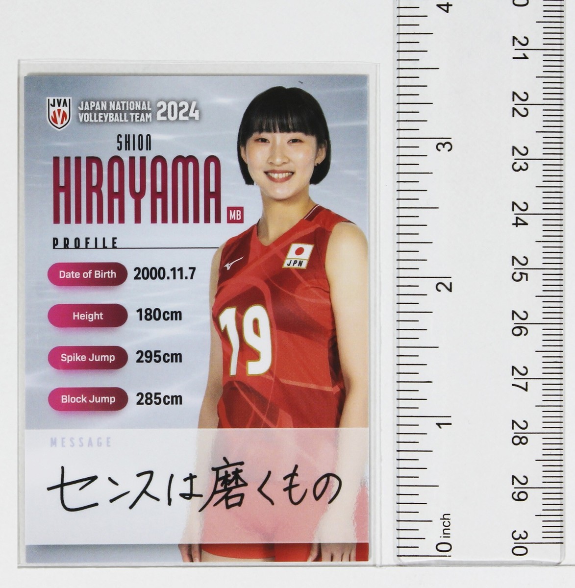 SHION HIRAYAMA No.79 [not hand-painted]- 2024 Women's