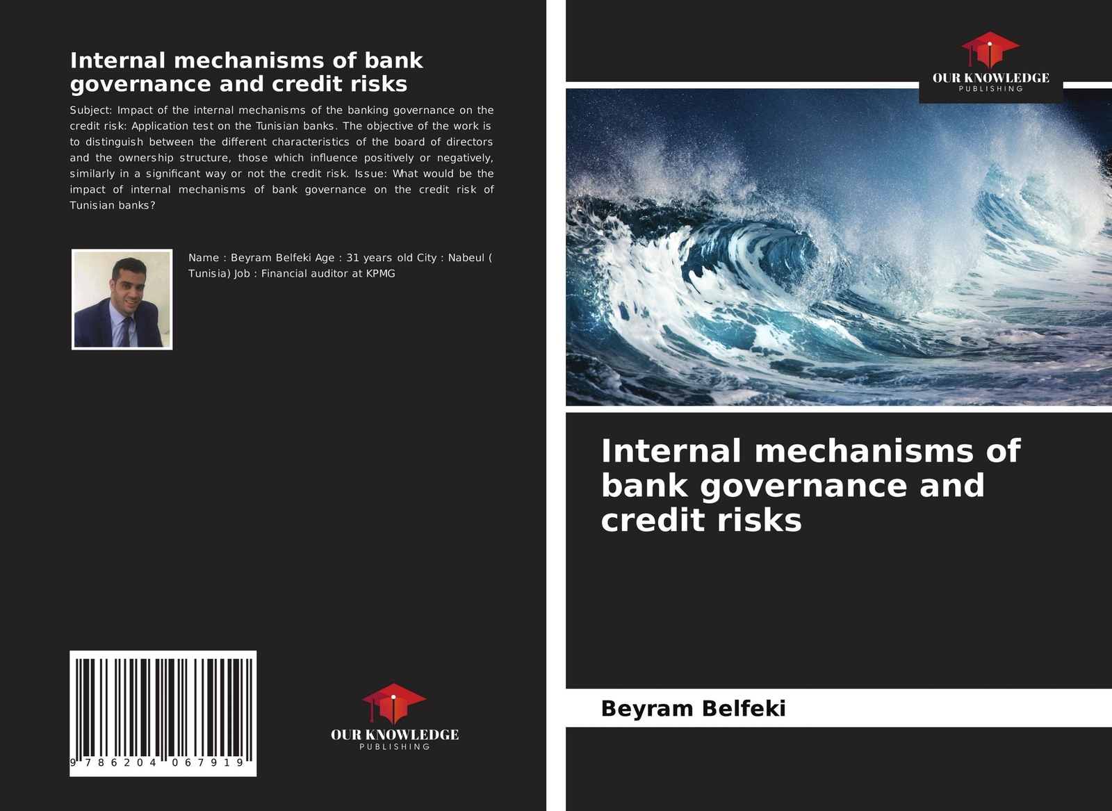 Thumbnail - Internal Mechanisms Of Bank Governance And Credit Risks Beyram Belfeki
