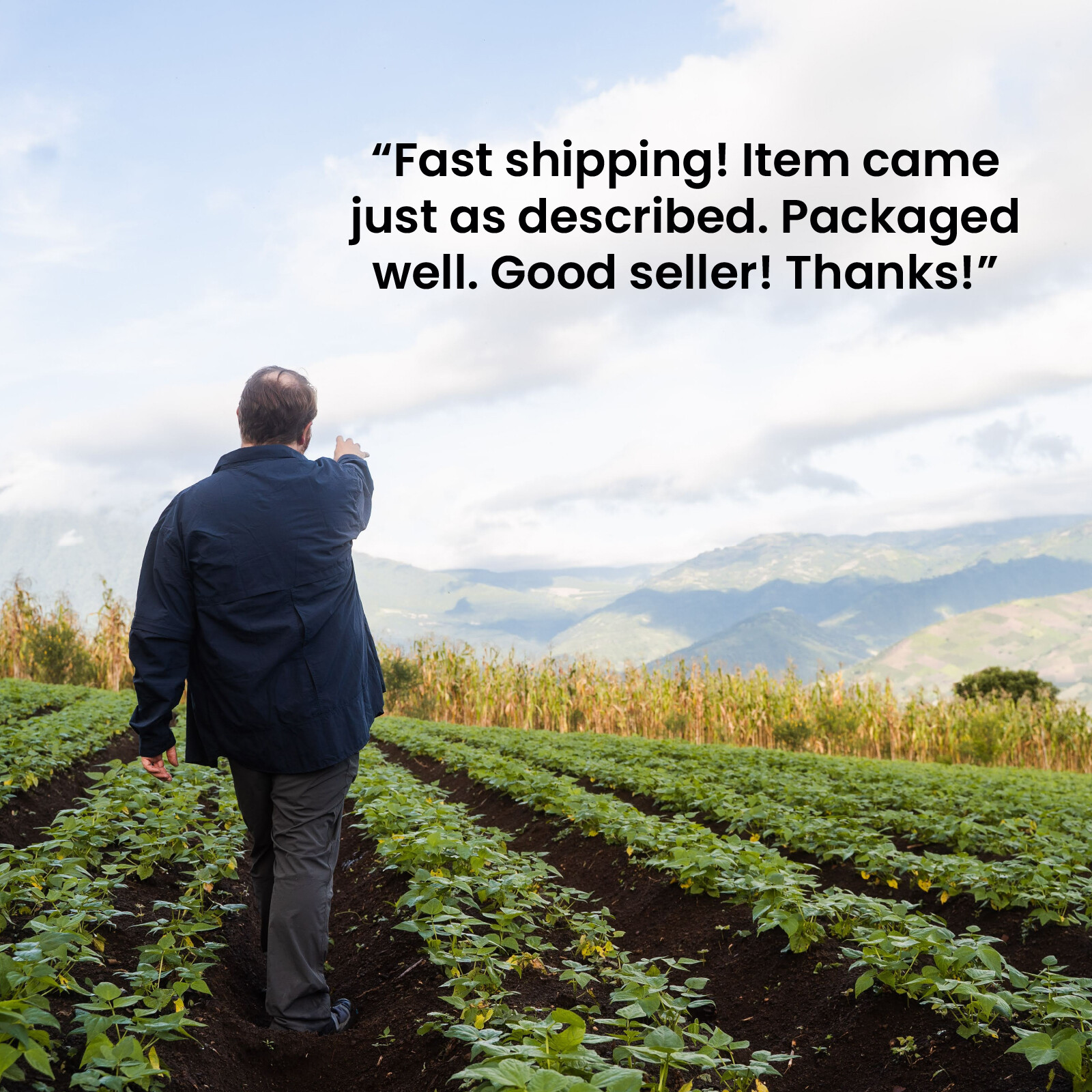 Garage Door Idler Pulley Fits Chain Drive Chamberlain Craftsman