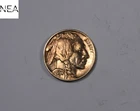 1934 Buffalo Nickel ~ AU/Uncirculated ~ Better Date ~ ZB162