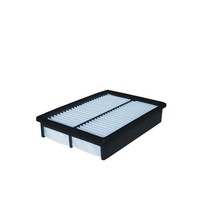 Filtron AP 113/2 Luftfilter FüR Mazda