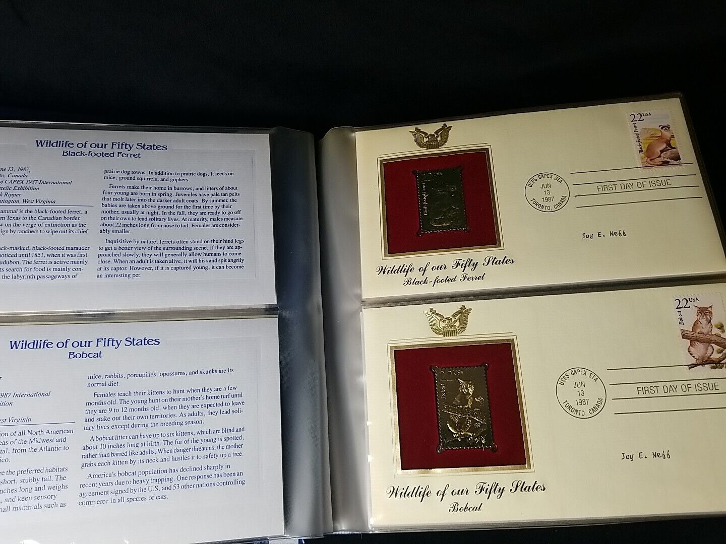 Picture 3 of 15