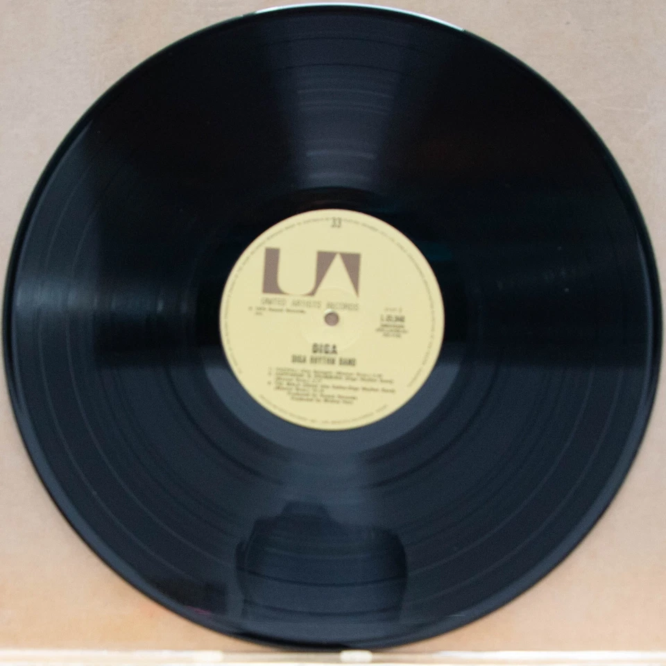 DIGA RHYTHM BAND - DIGA - Vinyl LP - UA - 1976 - VG FREE POSTAGE (1862) - Image 2 of 4