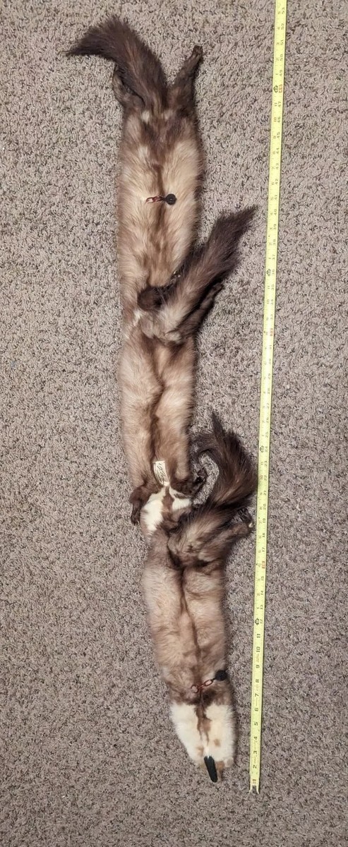 VINTAGE I. J. Fox Cleveland London Paris NY Mink Fur Pelt
