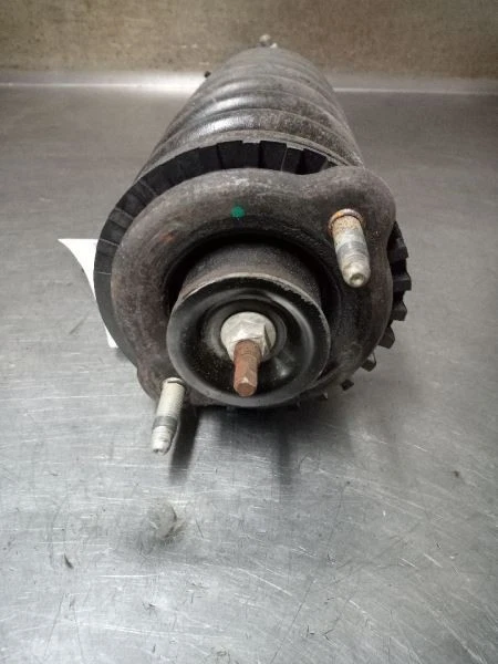 Puntal delantero de Chevrolet Trailblazer 7548012 2009 Foto 4 de 4