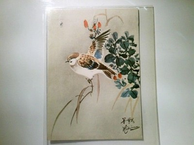 Künstler AK von Hibima, farbig, gel. 1960. Der Stieglitz, Le Chardonneret, Kunst