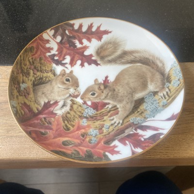 The Forest Year Collection J Francis Squirrel s Sample The October Harvest 1982