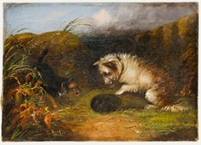Attrib. Edward Armfield (1817-1896) - Late 19th Century Oil, Hunting Dogs