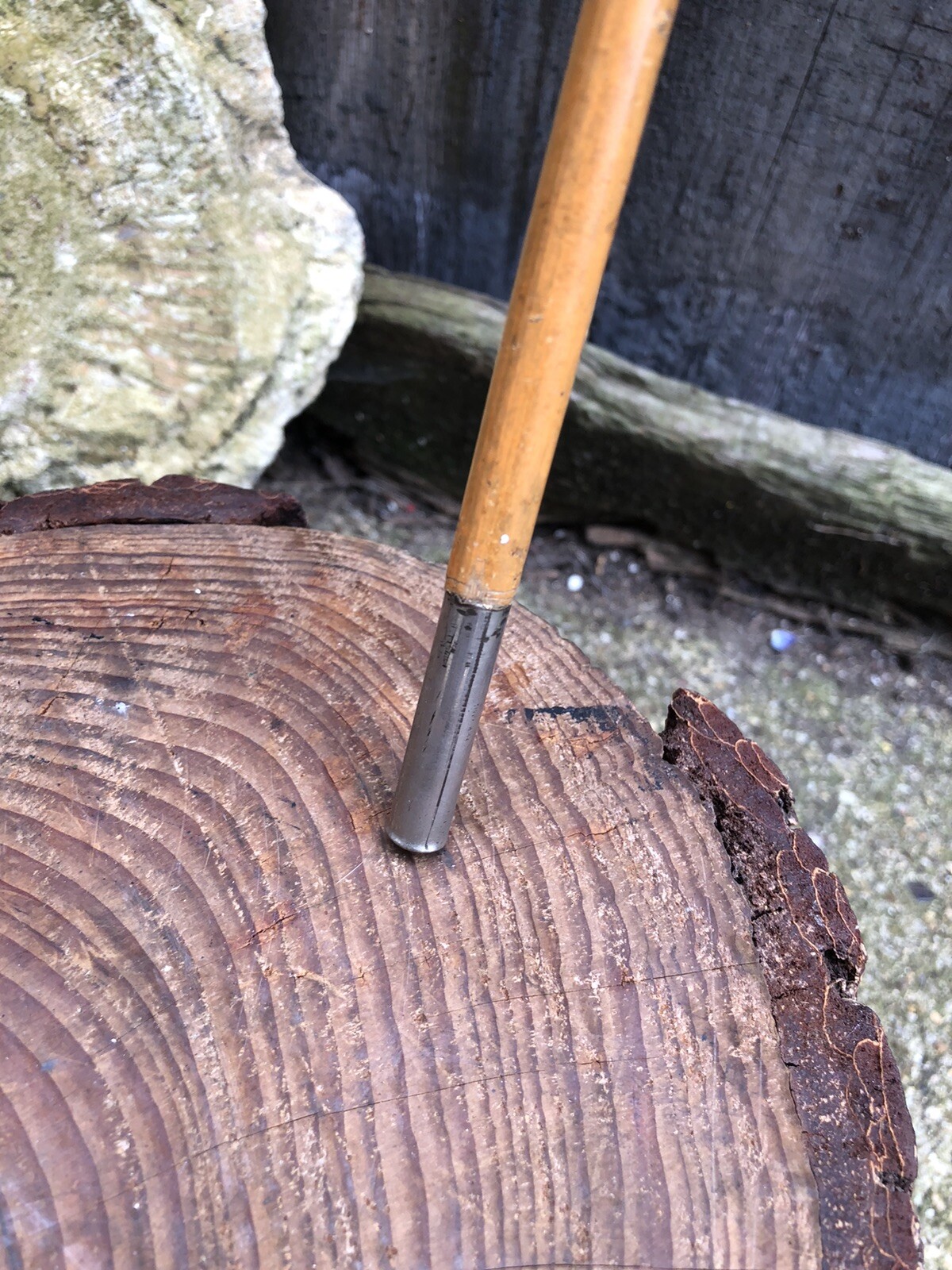 Picture 3 of 15