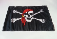 Piraten Flagge  30x45 cm Fahne  Pirat Party  NEU