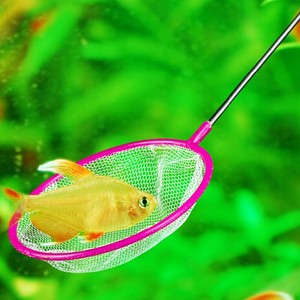 small fish tank net