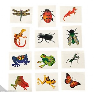 Beetle Fly Frog And Lizard Tattoos Pack Of 36 