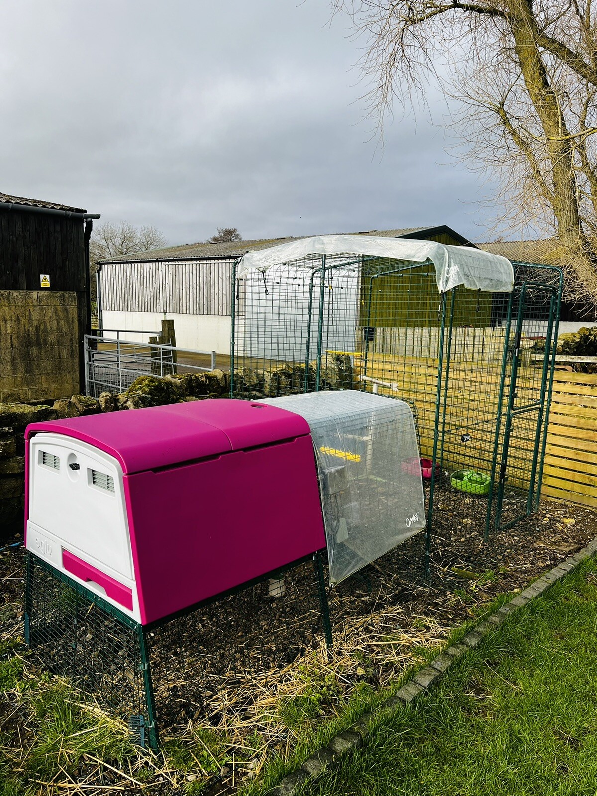 Omlet Eglu Cube Chicken House Purple Automatic Door & Run eBay