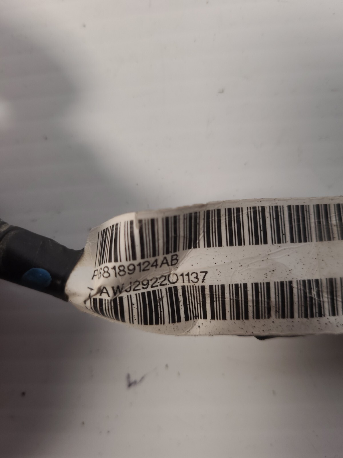 Picture 3