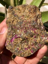 710 Ct Natural Ruby Specimen Batakundi Pakistan Ruby in Matrix Collector