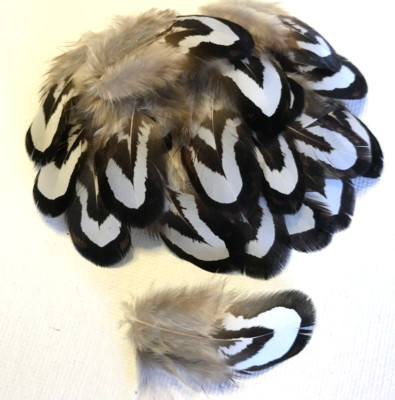 20pcs 2-4cm Natural Reeves Pheasant Feathers DIY Craft Millinery Boho Bulk