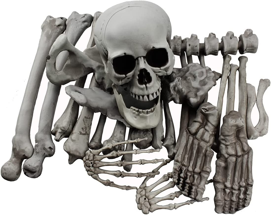28 Pieces Skeleton Bones and Skull for Halloween Decor or Spooky Graveyard Groun