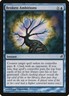 Lorwyn Broken Ambitions MTG Magic the Gathering NM