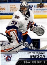 5 CARD LOT - 2018-19 Upper Deck AHL #11 Christopher Gibson
