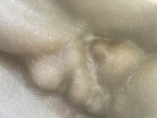 READY TO POST Fibreglass And Latex Mould Of A Life size Kitten 25/18Cm Beautiful