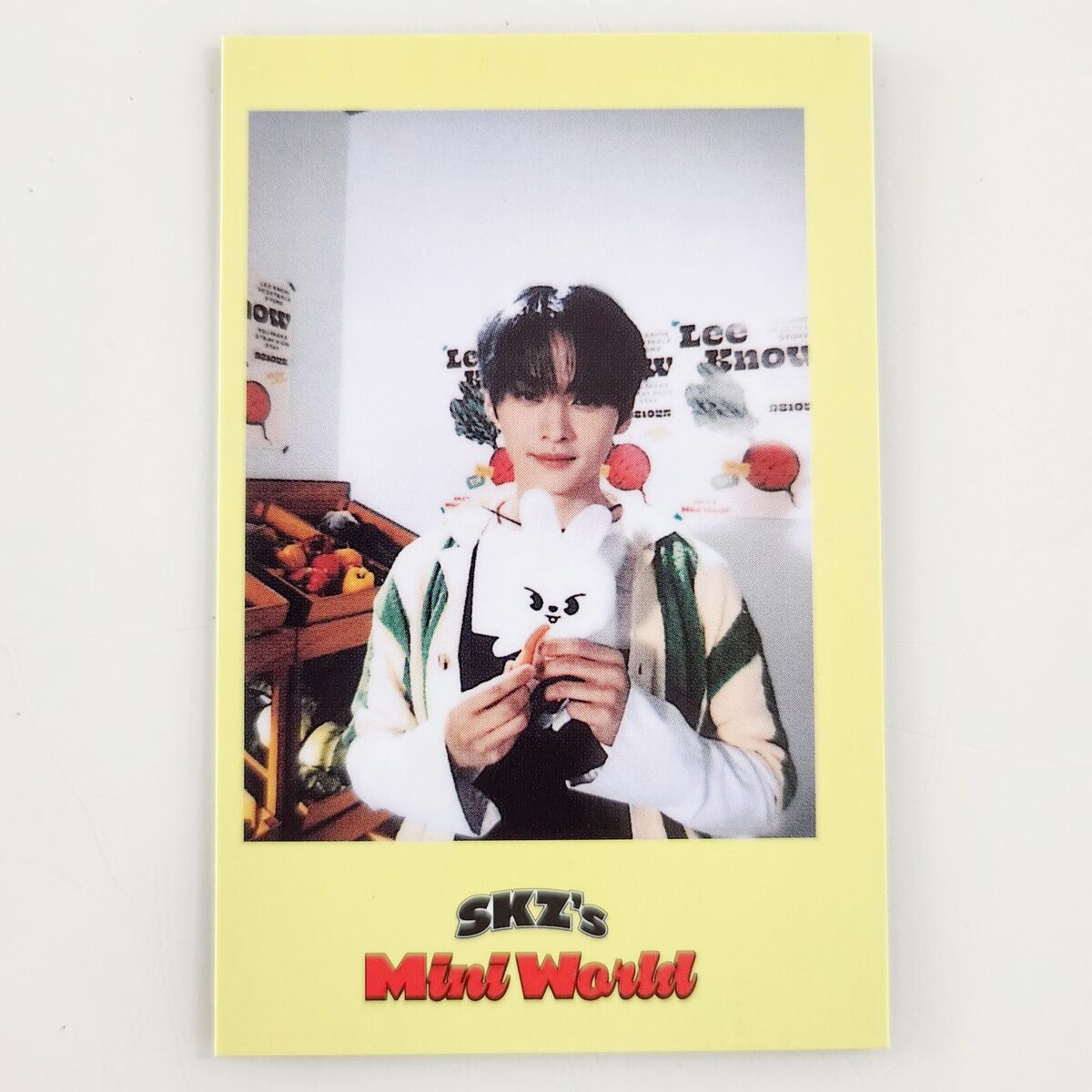 221203 Stray Kids - 2023 SEASON'S GREETINGS: SKZ'S Mini World