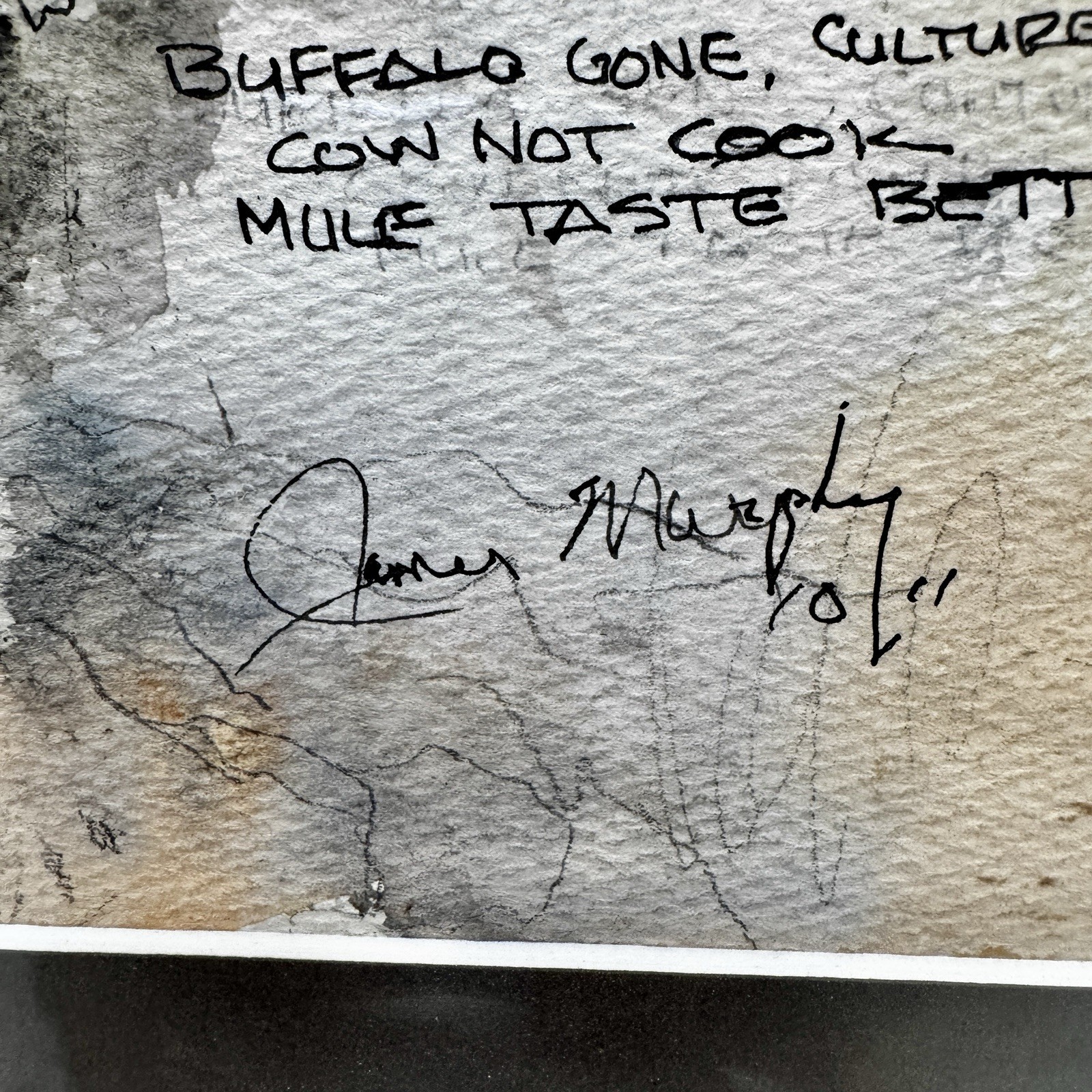 SouthWest Style Watercolor Painting “Buffalo Gone” Framed Art SIGNED by J.Murphy